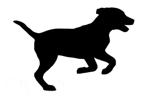 Cheltenham Country Kennels